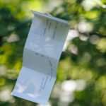 Kuusiluoto_2026__c_Otso_Kahonen_2500px_IMG_0864-033