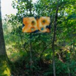Kuusiluoto_2026__c_Otso_Kahonen_2500px_IMG_0936-074