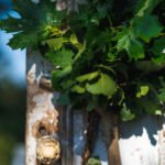 Kuusiluoto_2026__c_Otso_Kahonen_2500px_IMG_0965-084