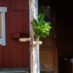 Kuusiluoto_2026__c_Otso_Kahonen_2500px_IMG_0970-085