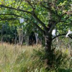 Kuusiluoto_2026__c_Otso_Kahonen_2500px_IMG_0978-034