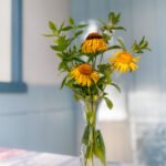 Kuusiluoto_2026__c_Otso_Kahonen_2500px_IMG_1149-123